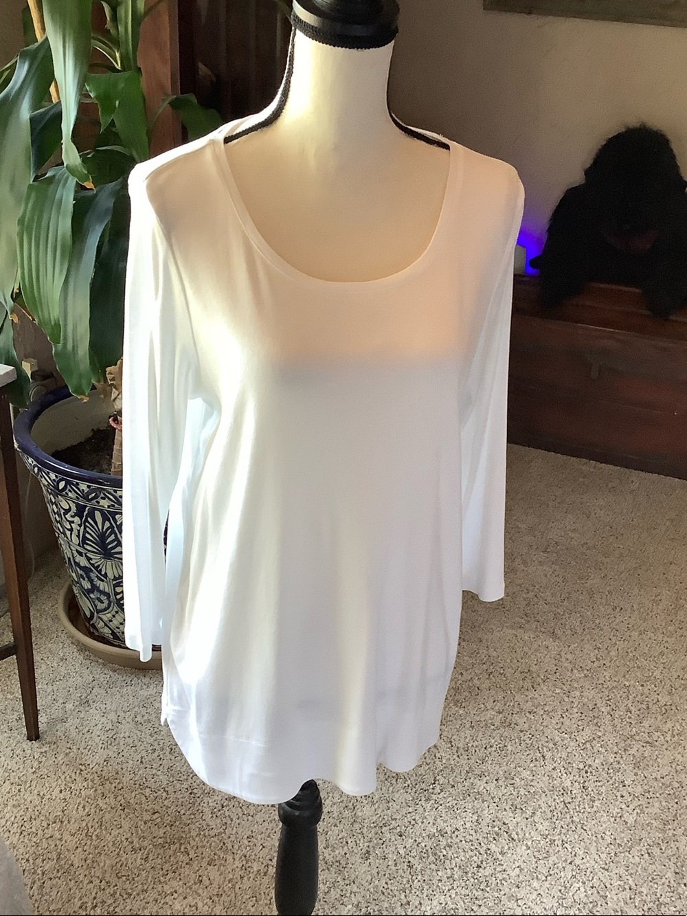EUC J. Jill White Scoop Neck Long Sleeve Top